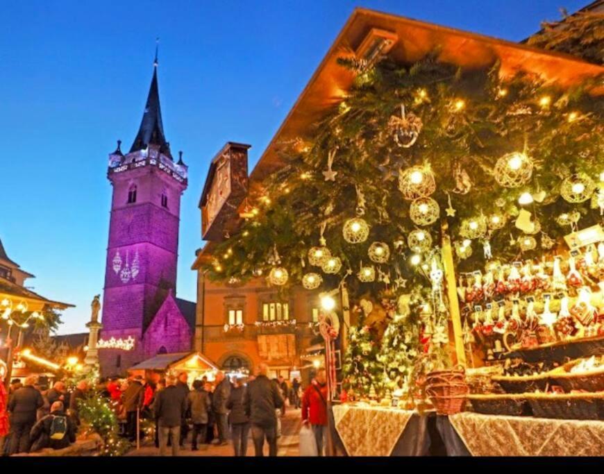 Apartamento L'Appar'T - Centre Historique De Obernai Exterior foto